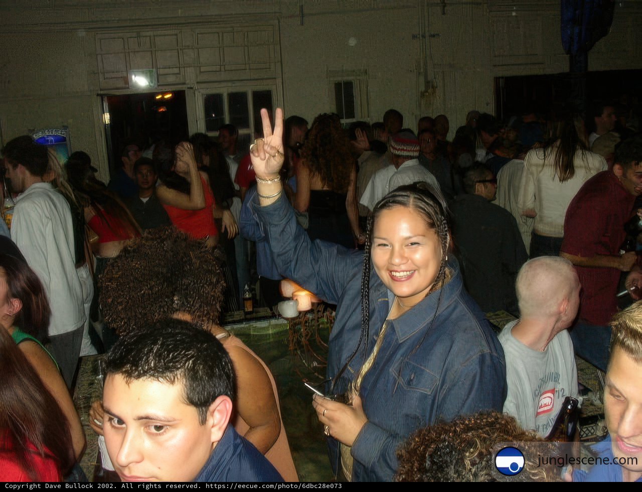 Groove to the Nightlife