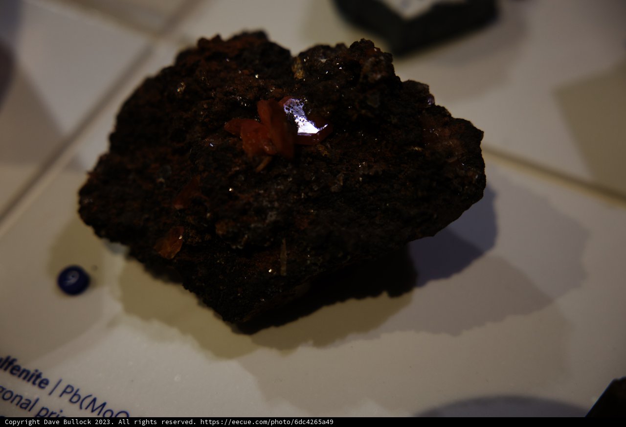 The Curious Culinary Artifact