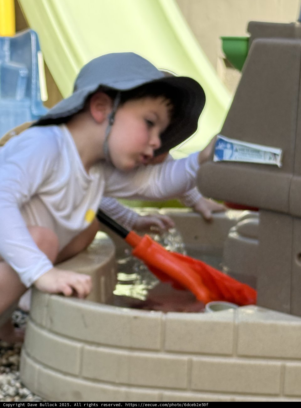 Little Explorer's Adventure