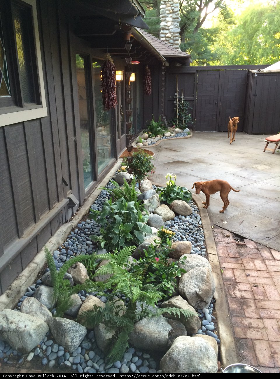 Peaceful Paws in Altadena