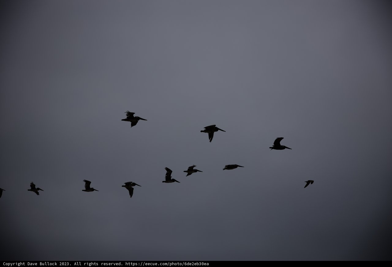 Sky Ballet at Pescadero Beach