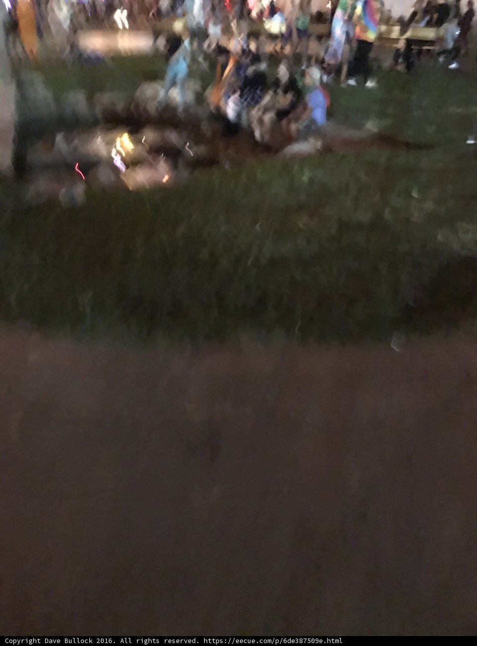 Nighttime Gathering on the Grass