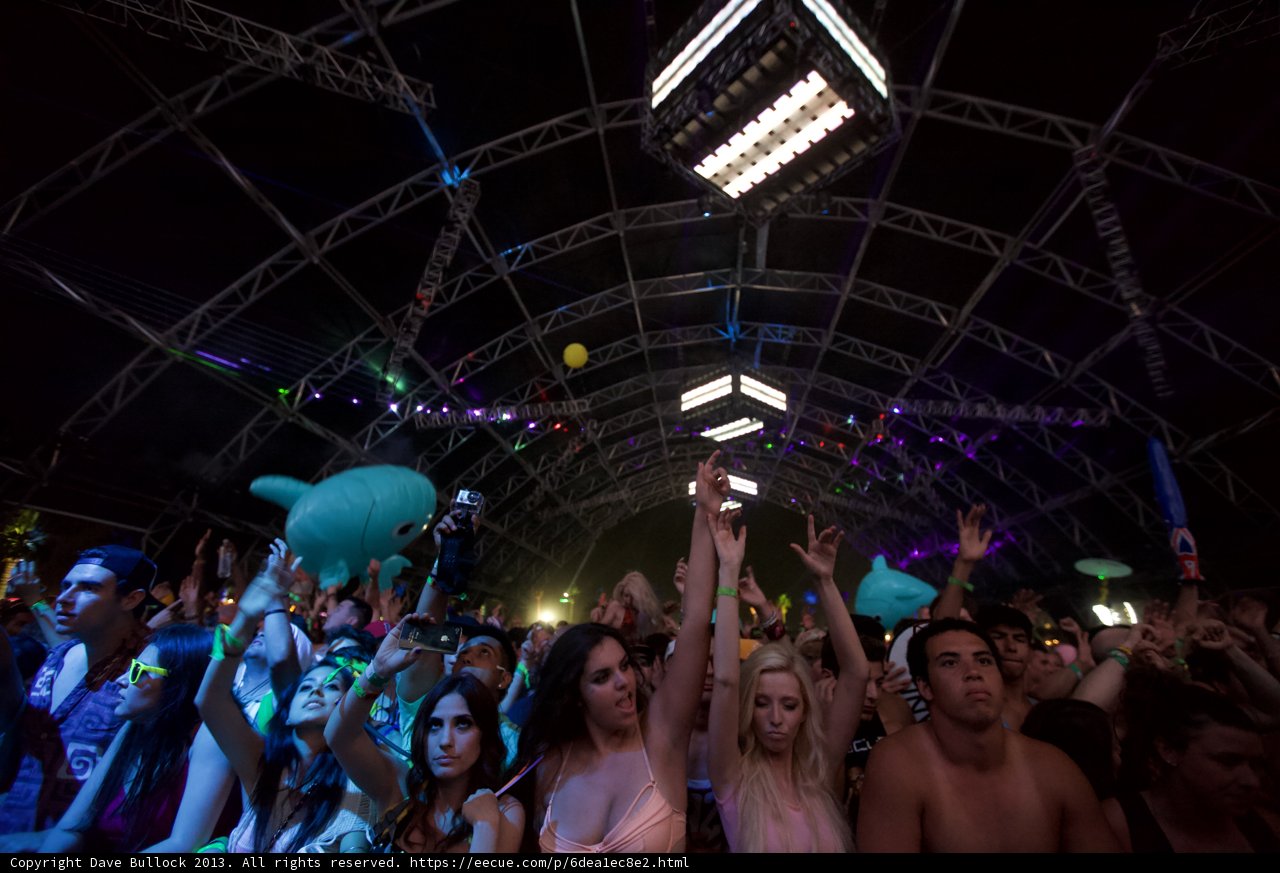 Electrified Crowd at Coachella 2013