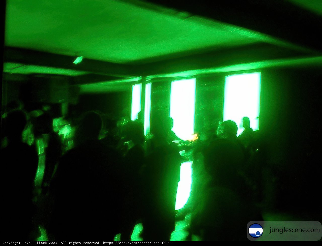 Nightlife Gathering