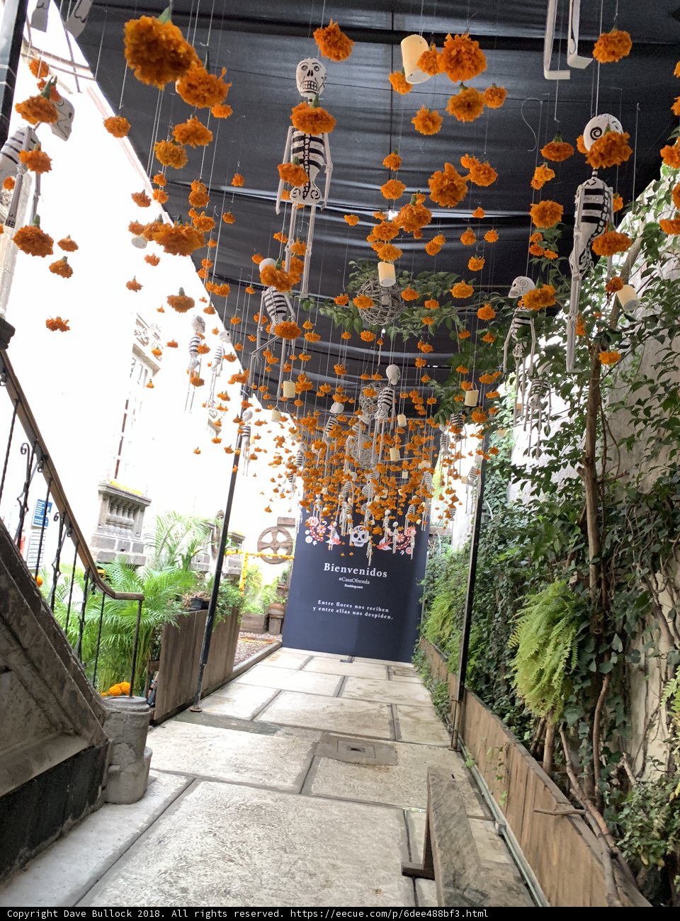 A Floral Walkway