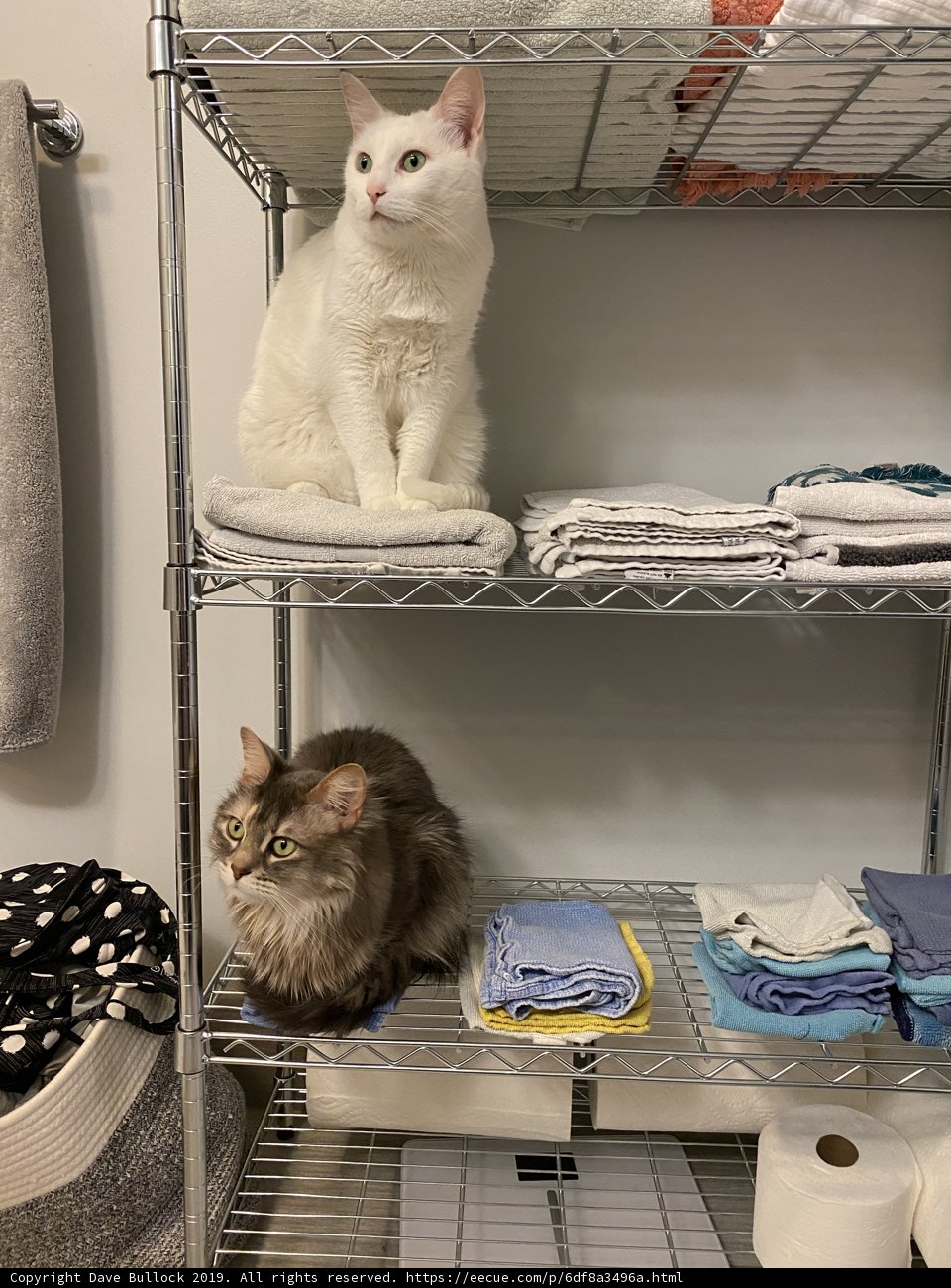 Bathroom Buddies