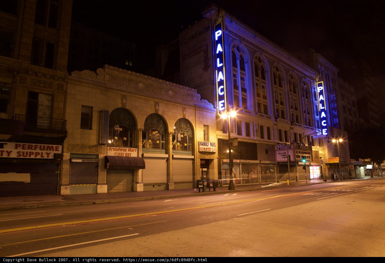 Neon lights of the urban jungle