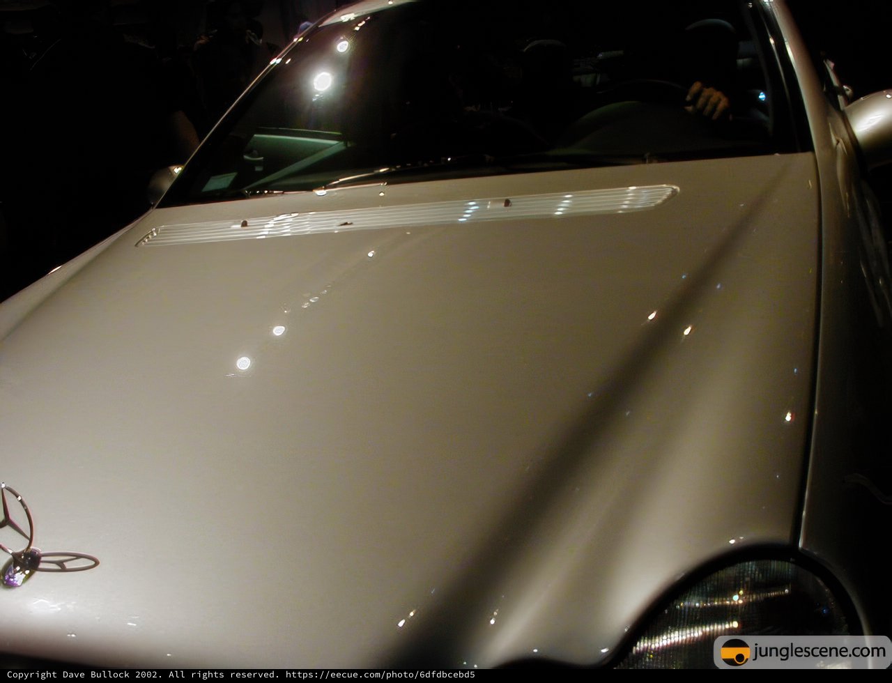 Sleek White Coupe with Ornament Hood