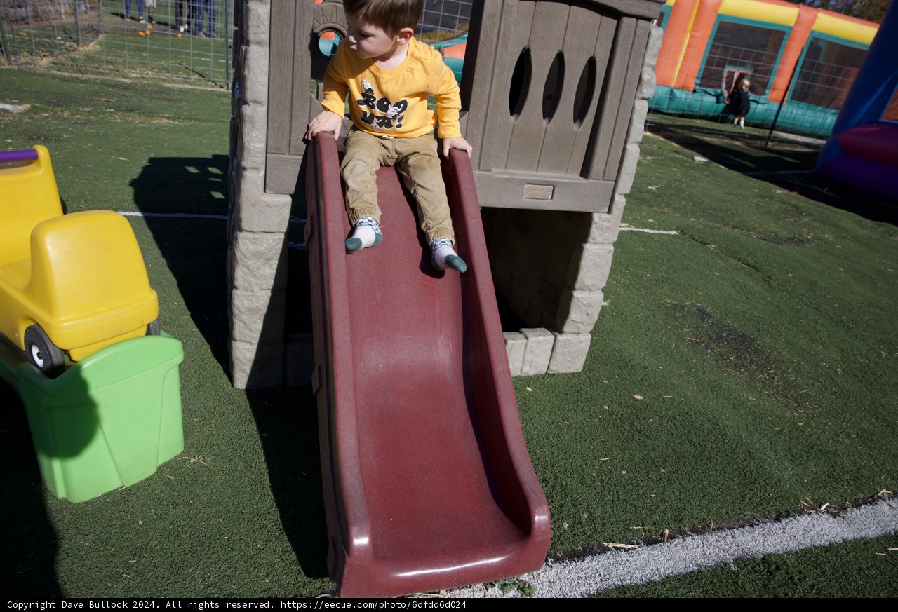 Joyful Adventures in the Park