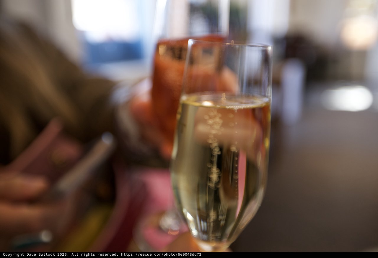 Celebratory Toast with Champagne and Cocktails
