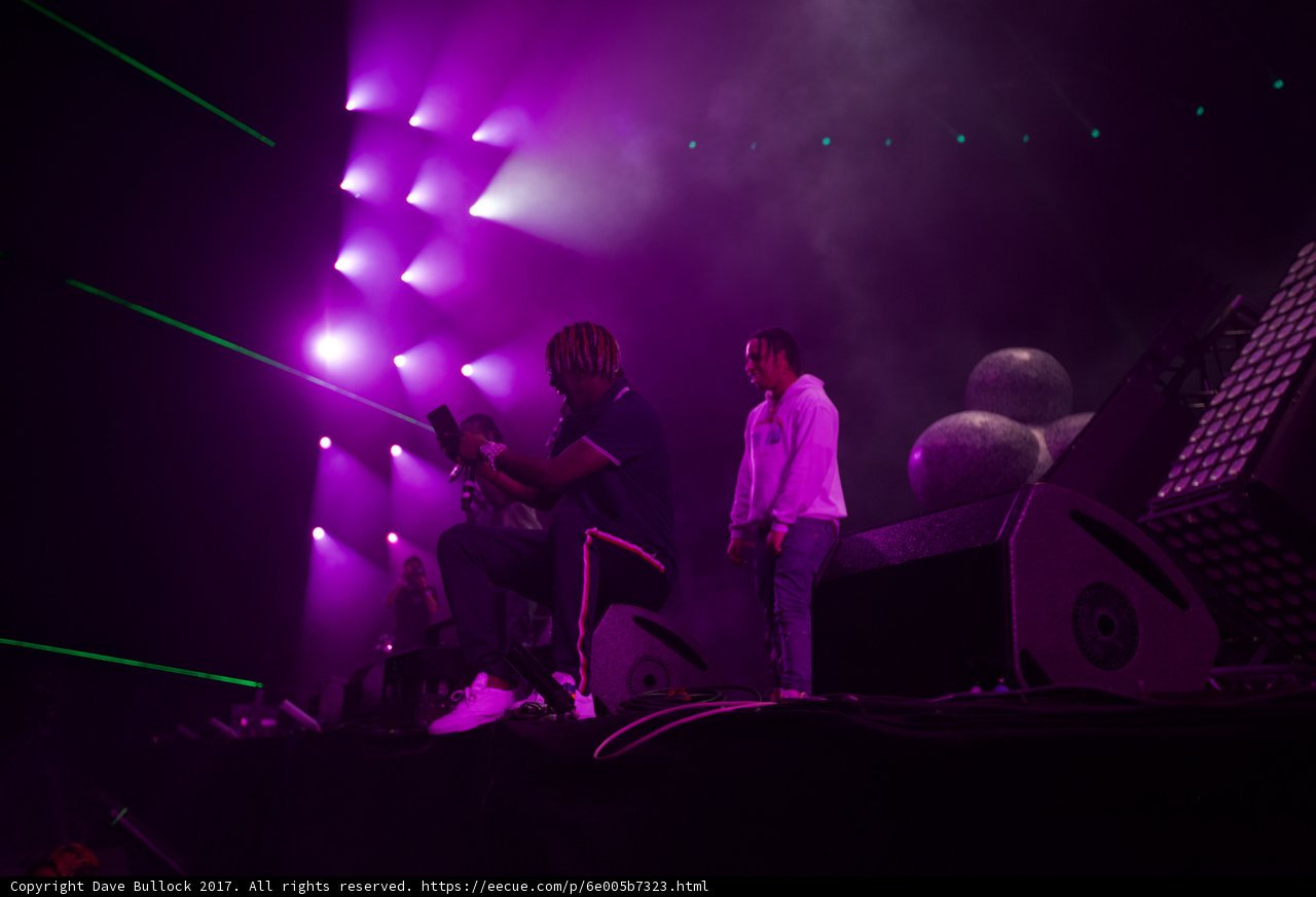 Purple Haze