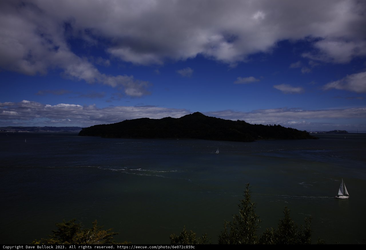 Sailing Adventure in Tiburon