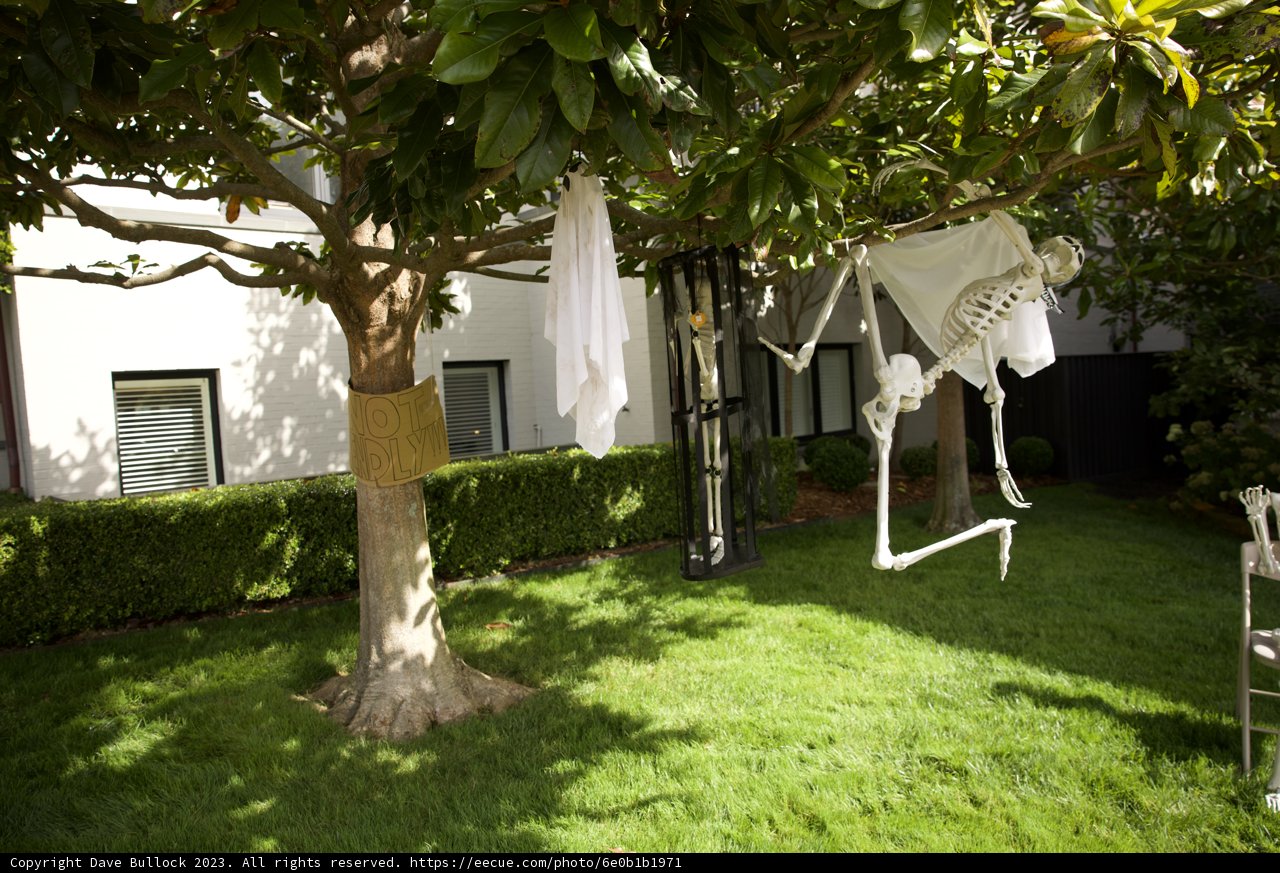 Haunting Decor in Scenic San Francisco