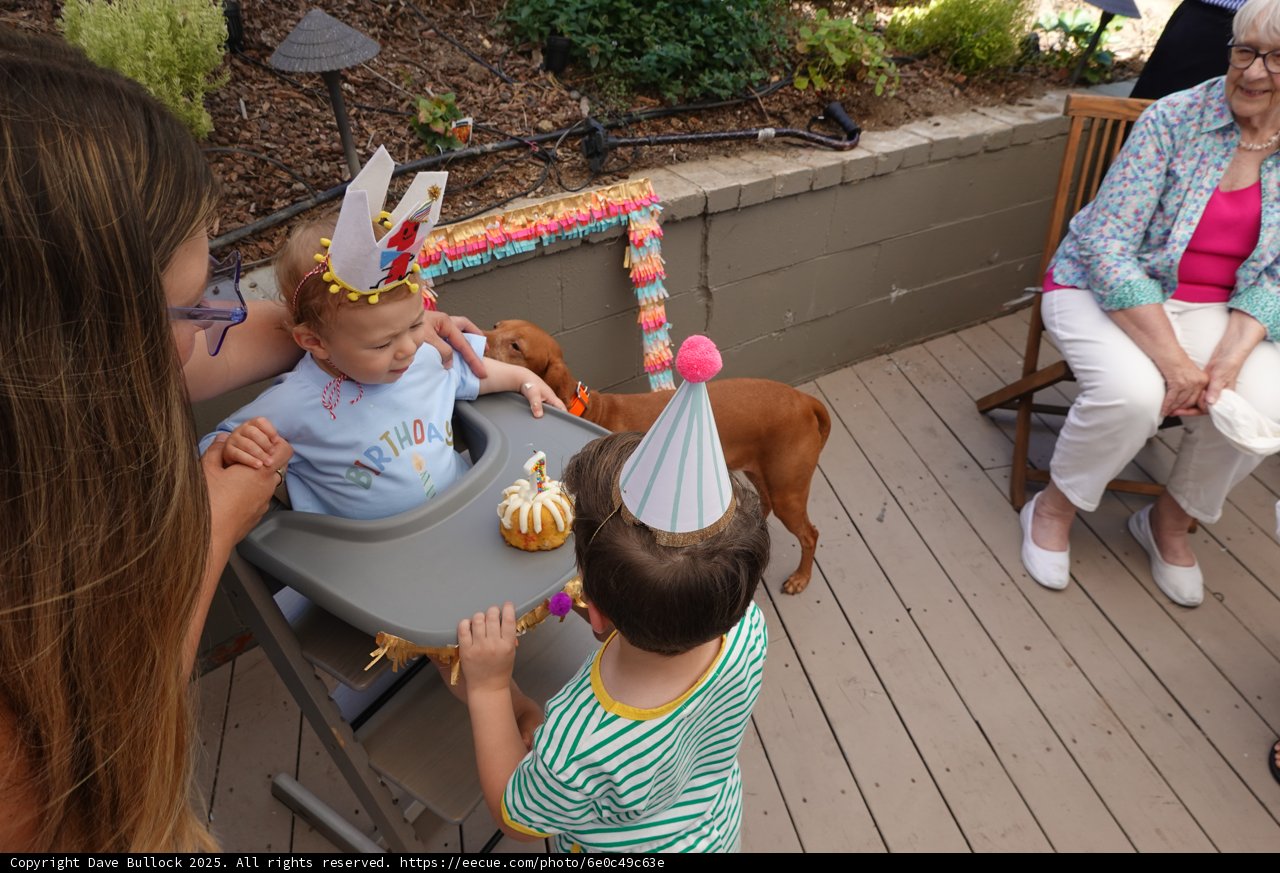First Birthday Joy