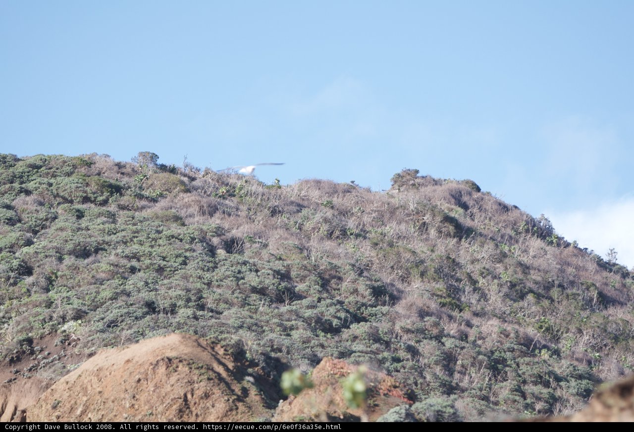 Flight Over the Majestic Mountain