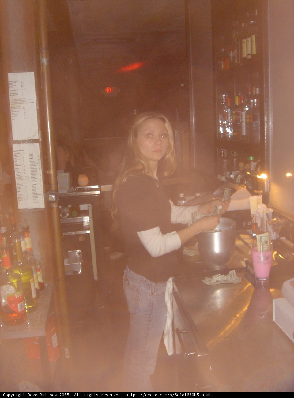A Woman Behind the Bar Counter