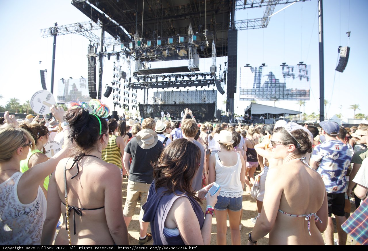 Festival Vibes