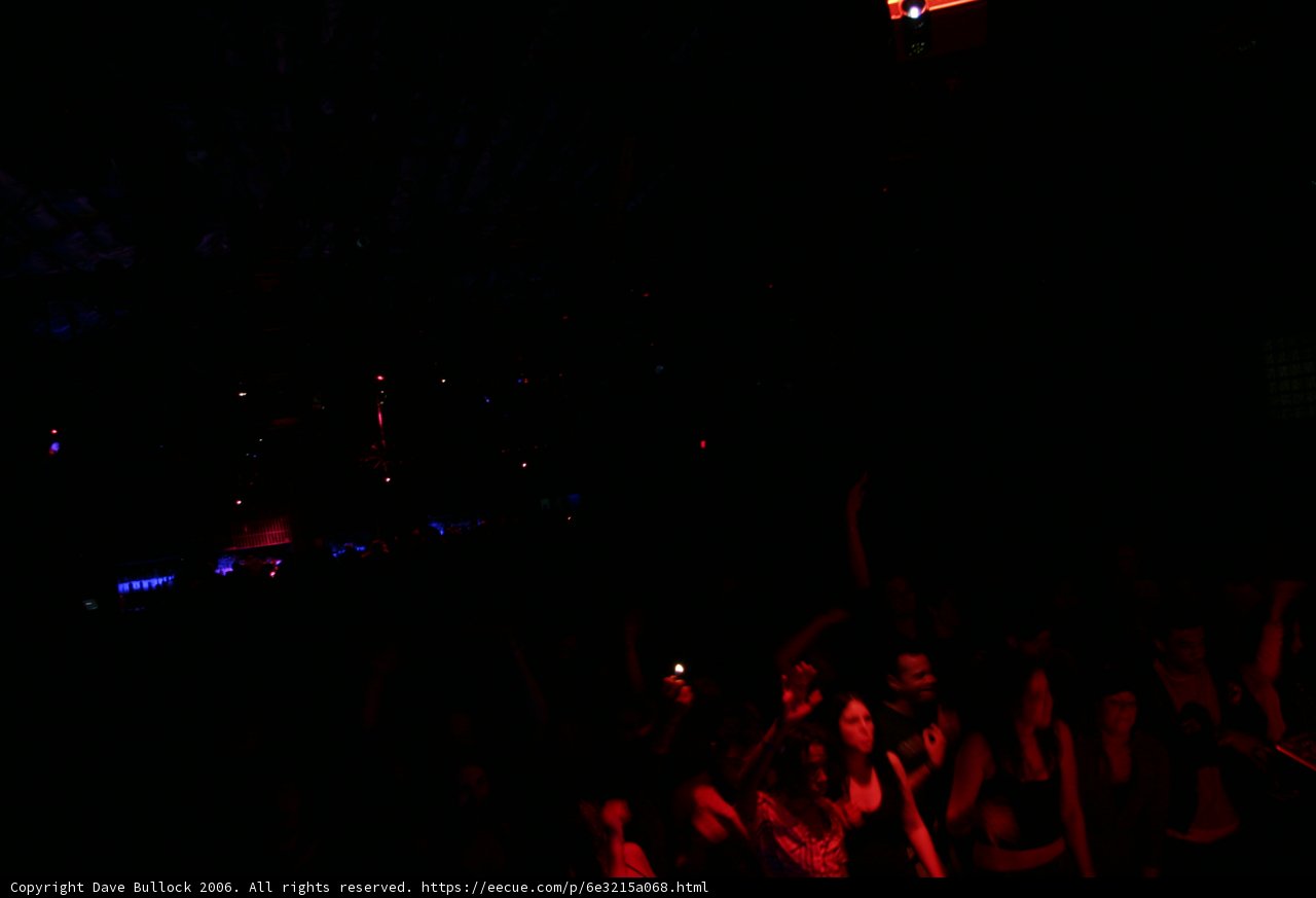 Clubgoers Revel in the Nightlife