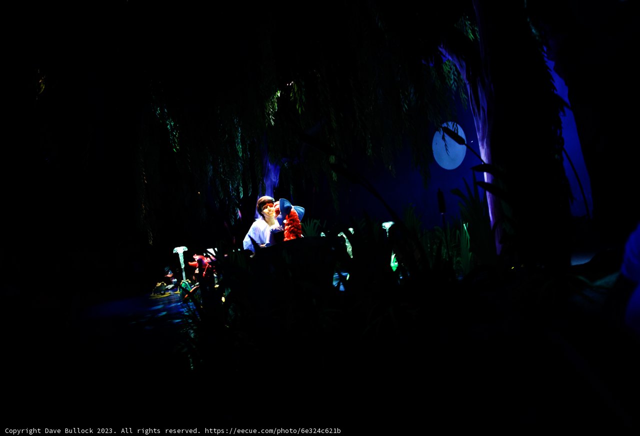 Enchanted Evening at Disneyland
