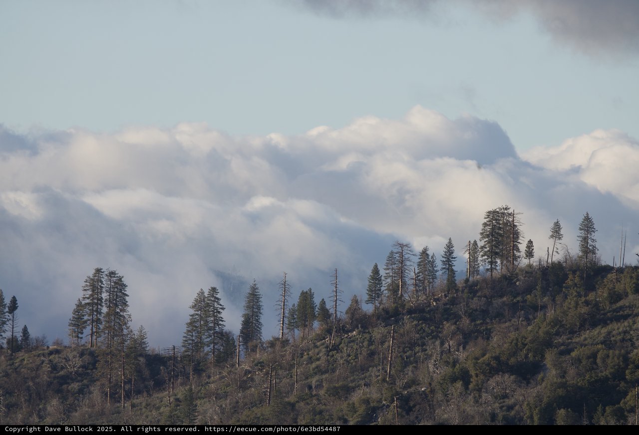 Misty Mountain Forest with Storm Clouds Rolling In