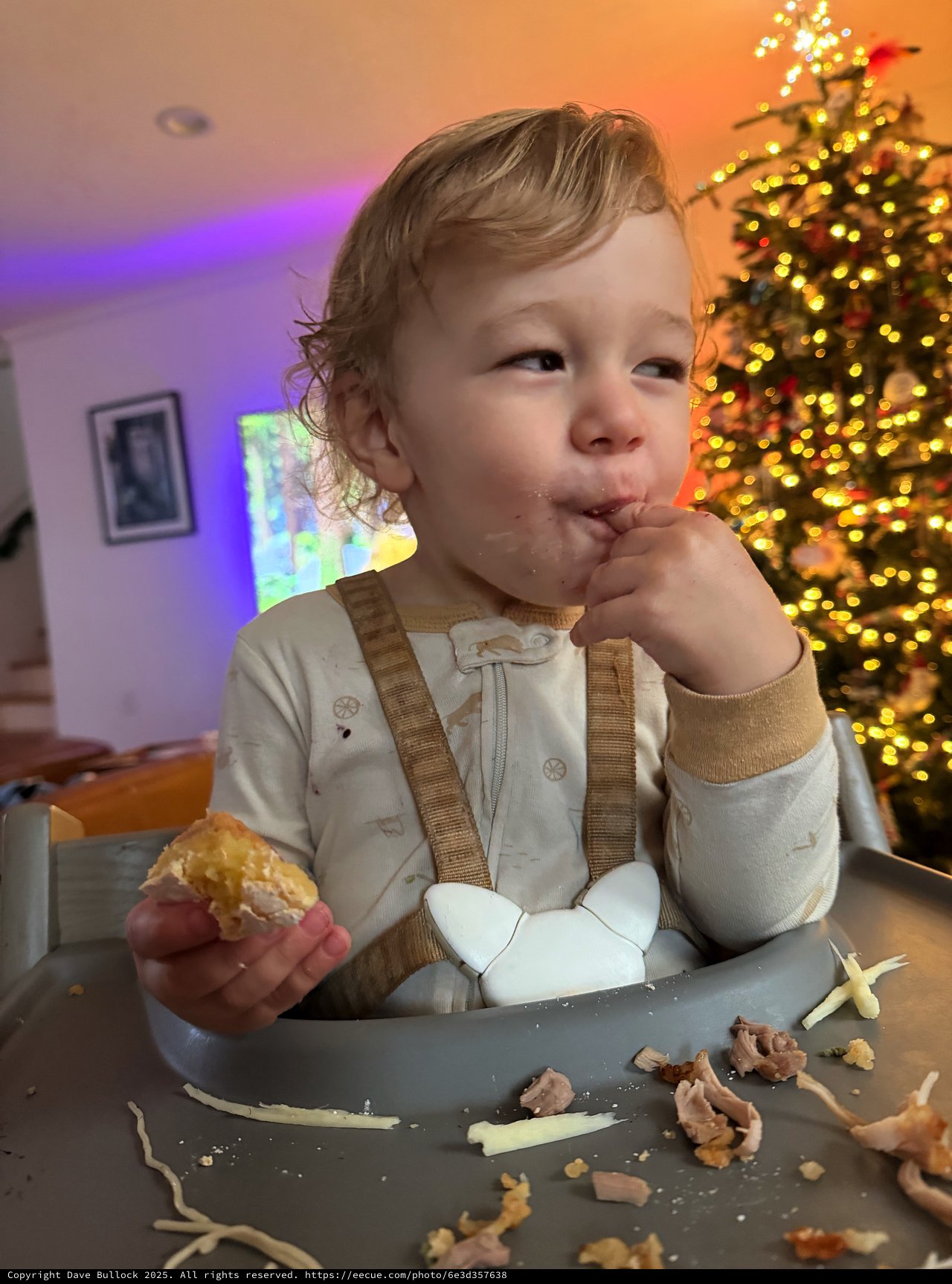 Toddler Enjoying Christmas Dinner at Holiday Table