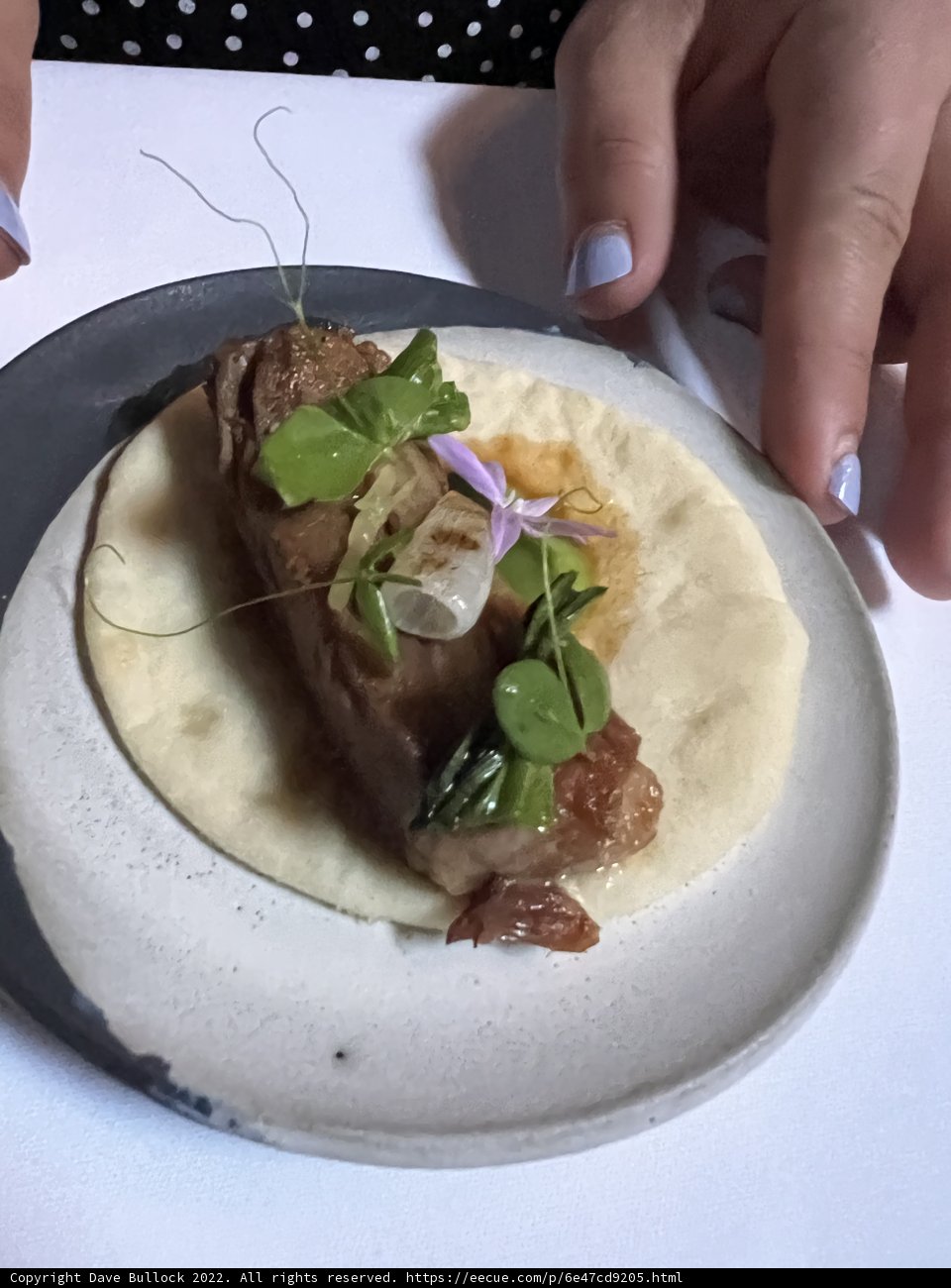 Taco Delight