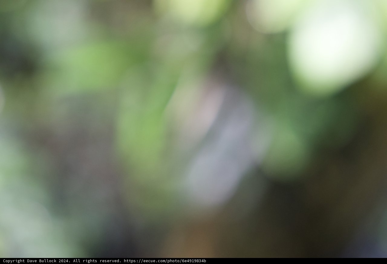 Harmony in Bloom: A Finch Among the Foliage