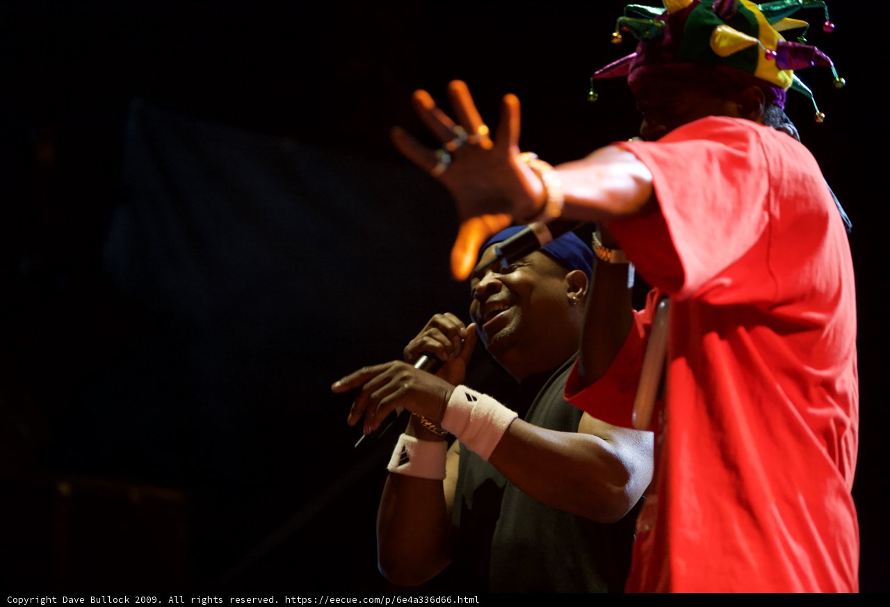 Chuck D electrifies the crowd at Coachella 2009