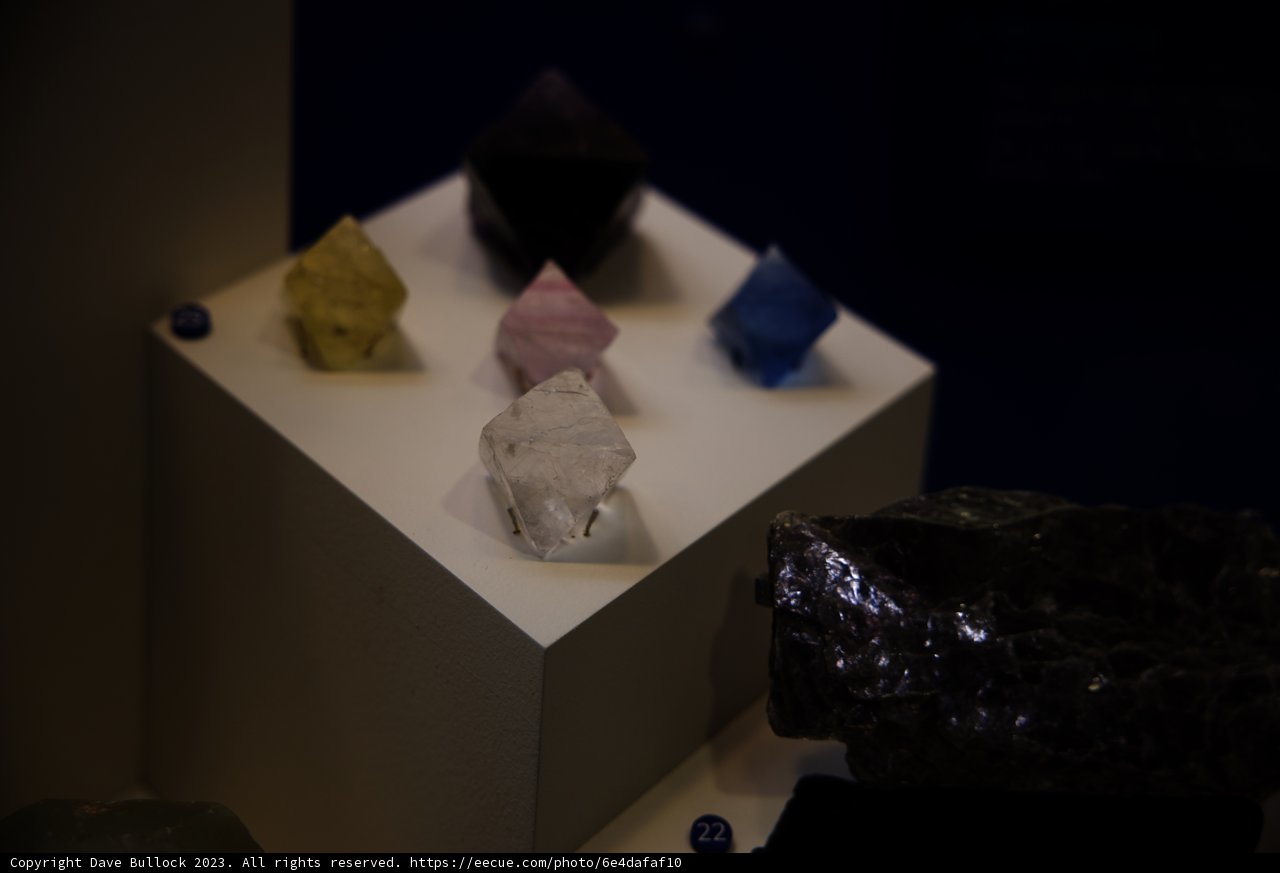 Nature's Hidden Gems: A Museum Exploration