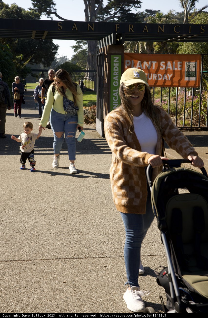 Stroll through the Botanical Garden