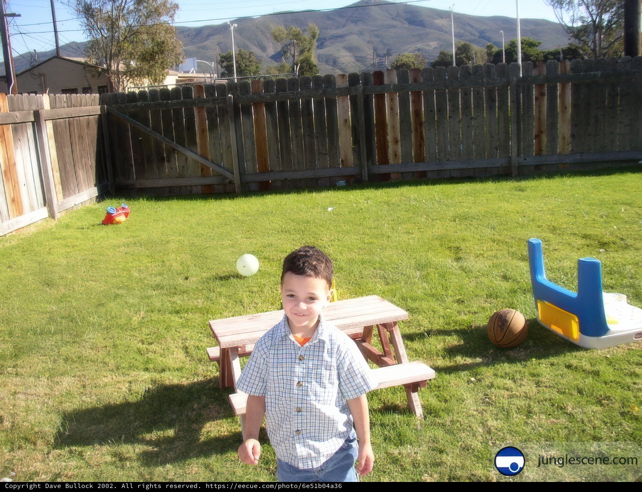 Boy and Ball in the Backyard