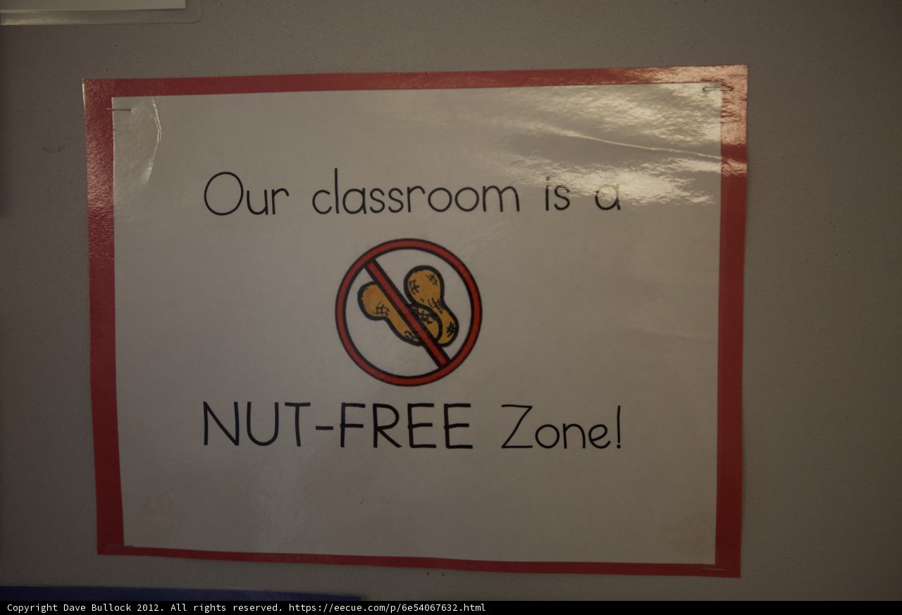 Nut-Free Zone Awareness