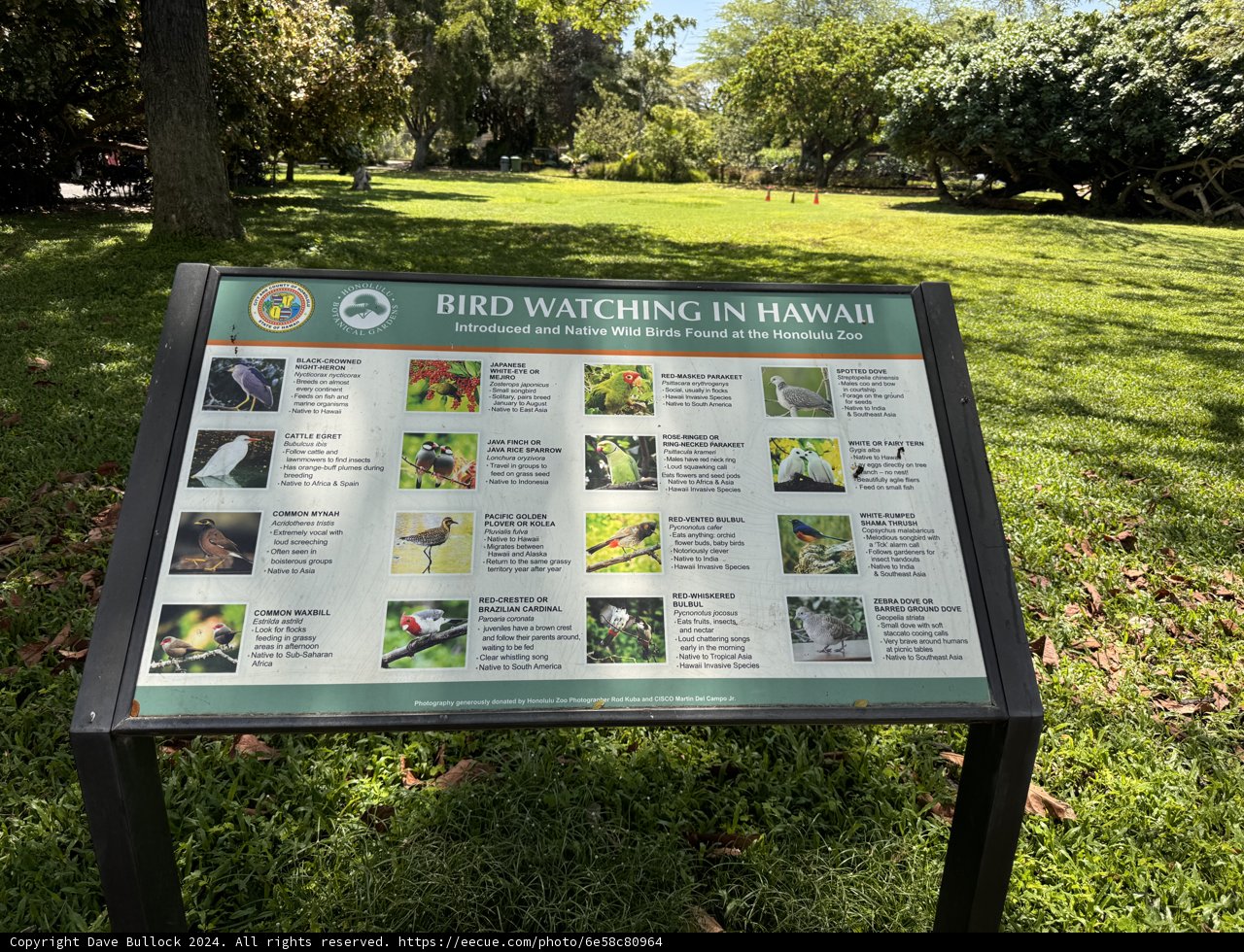 Educational Encounter at Honolulu Zoo