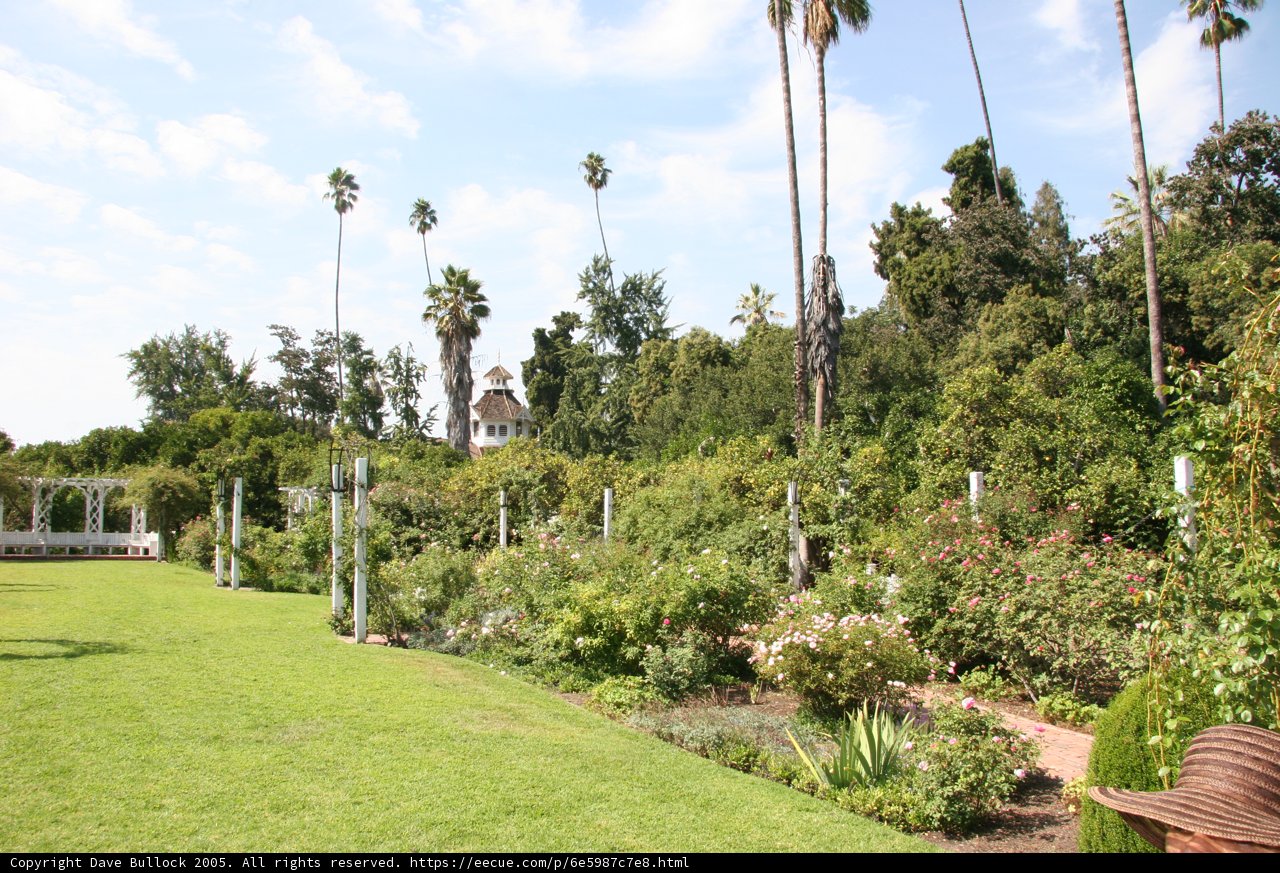 Serene Garden Oasis