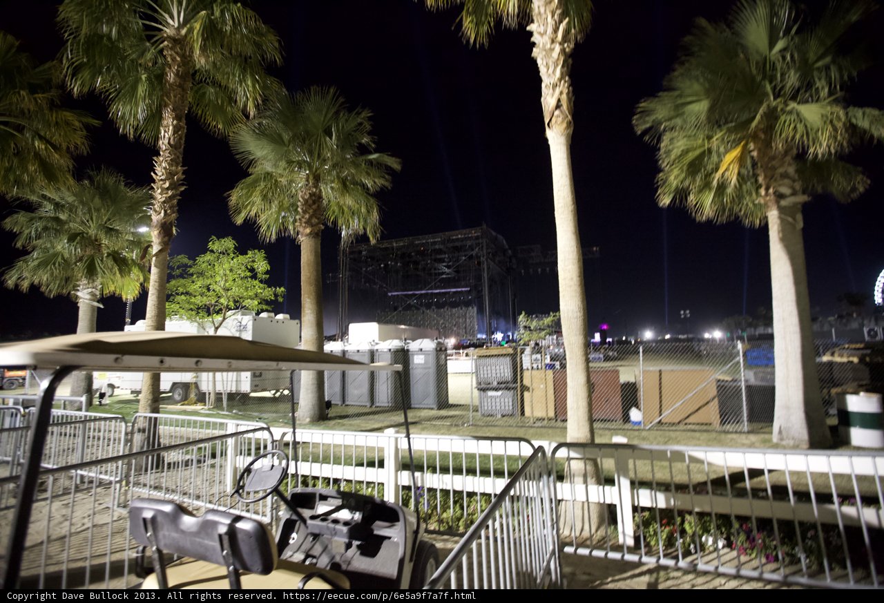 Nighttime Oasis