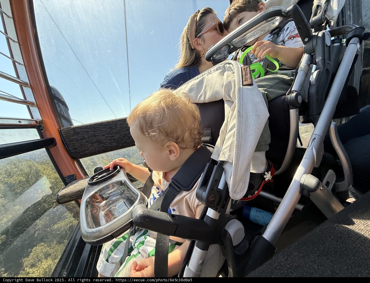 Family Adventure at Oakland Zoo