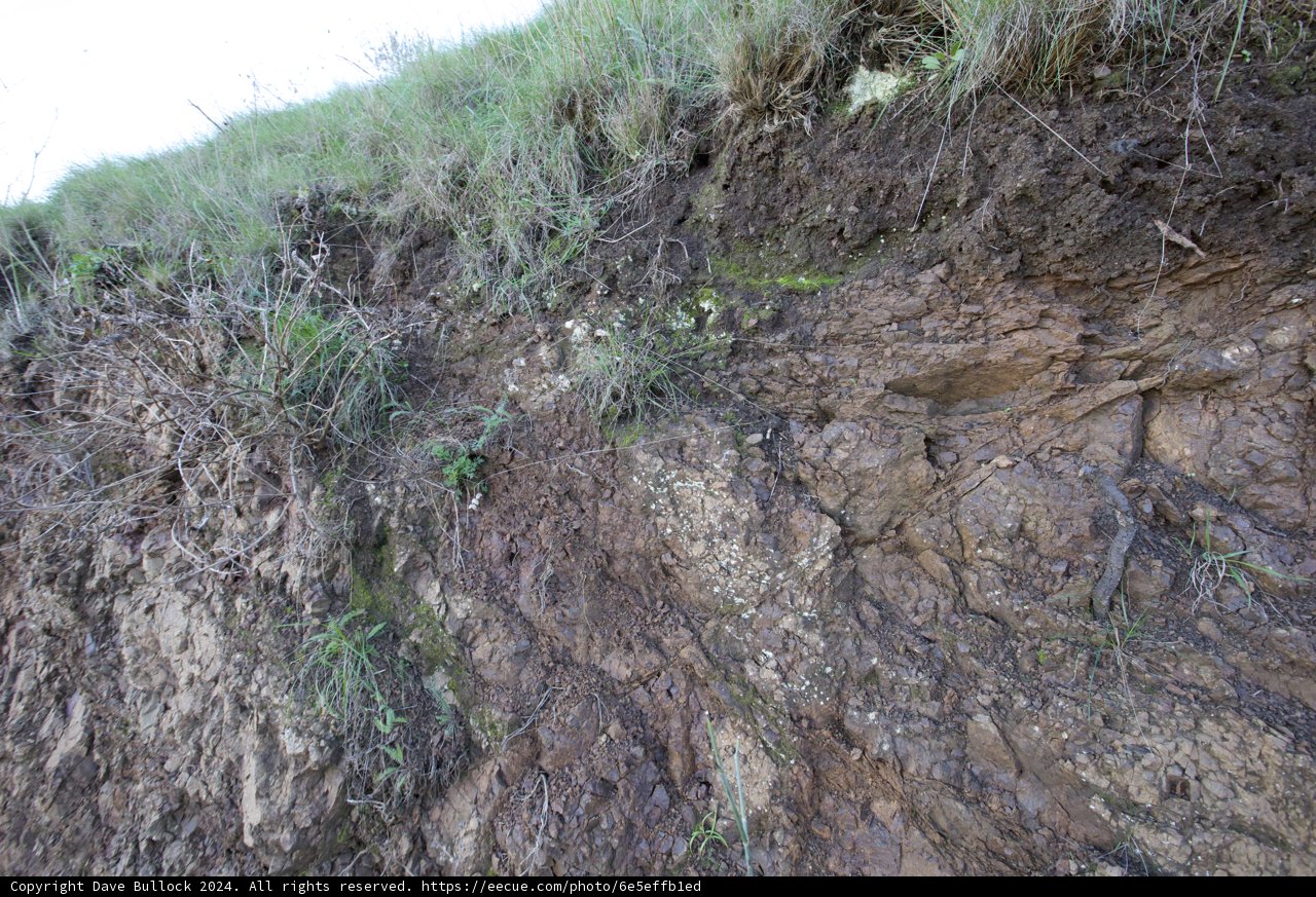 Grit and Green: Cliff-side Resilience