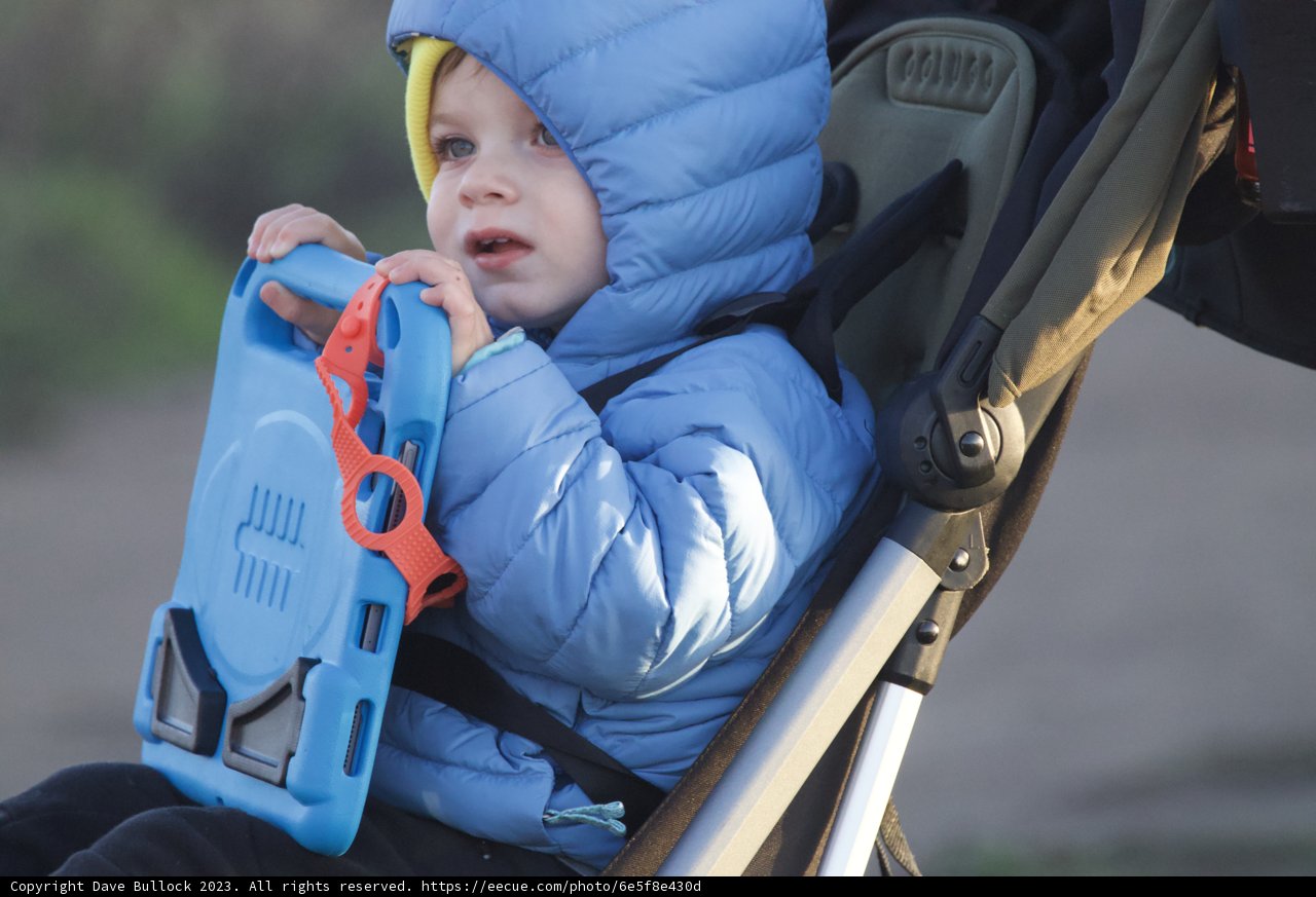 Winter Magic in Blue: A Young Explorer