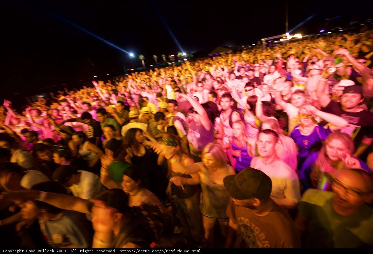 Party in the Desert