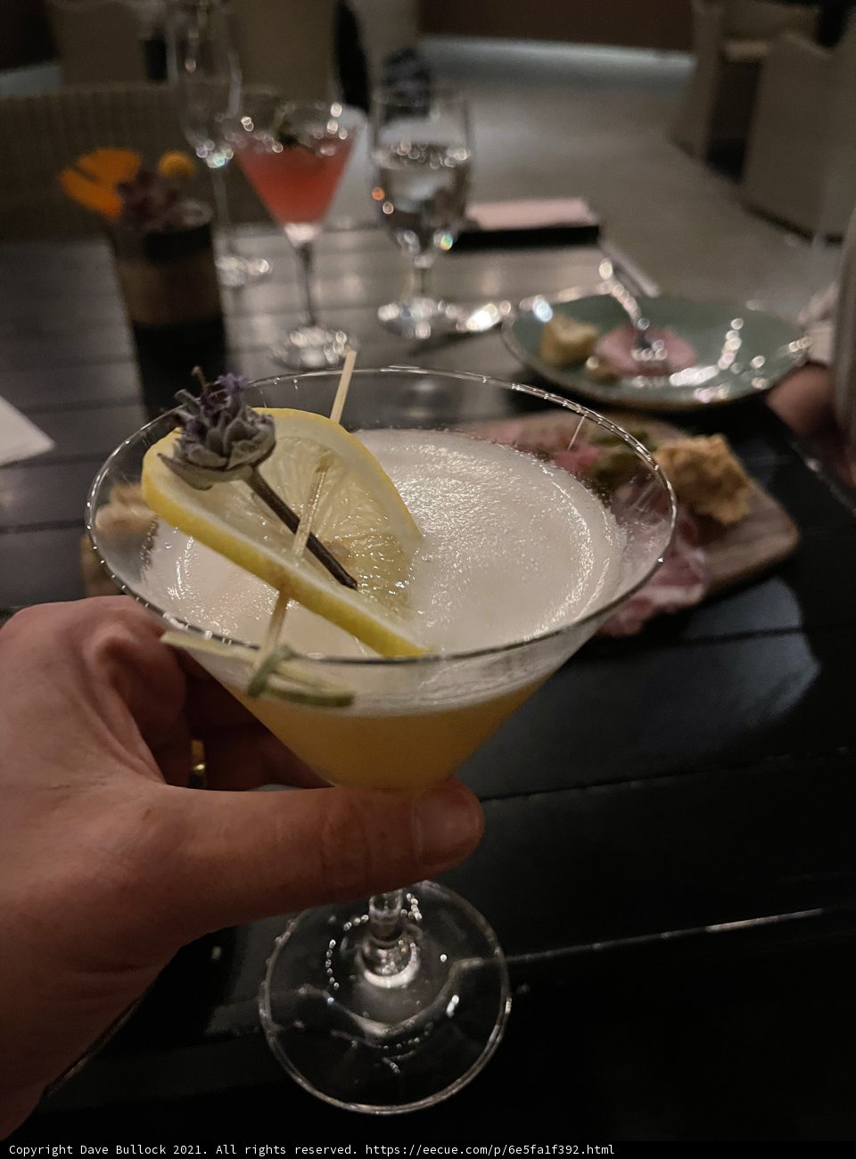Sipping on a Citrus Cocktail