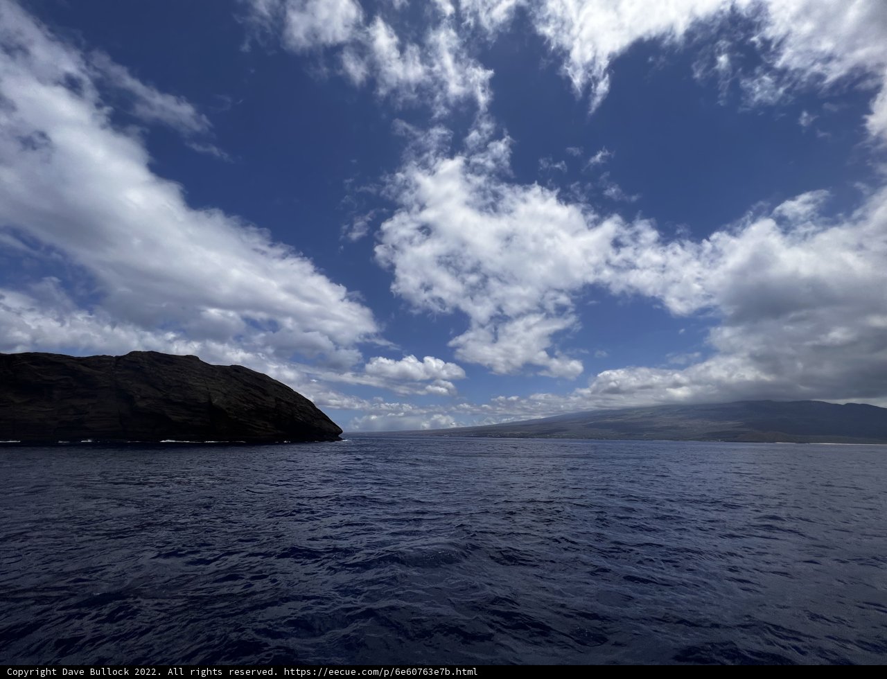 Serene Seascape