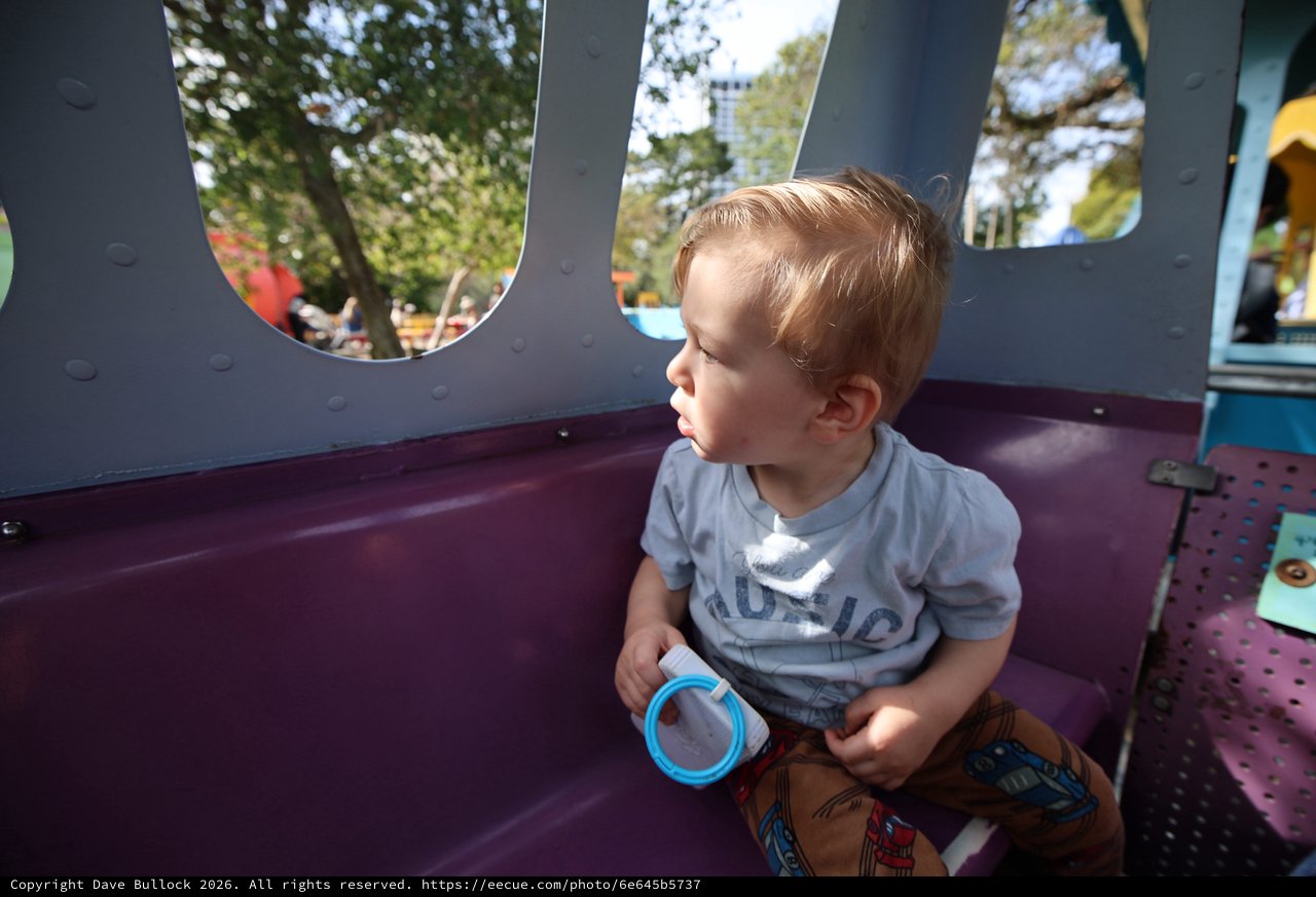 Toddler Gazing Through Playground Structure Window
