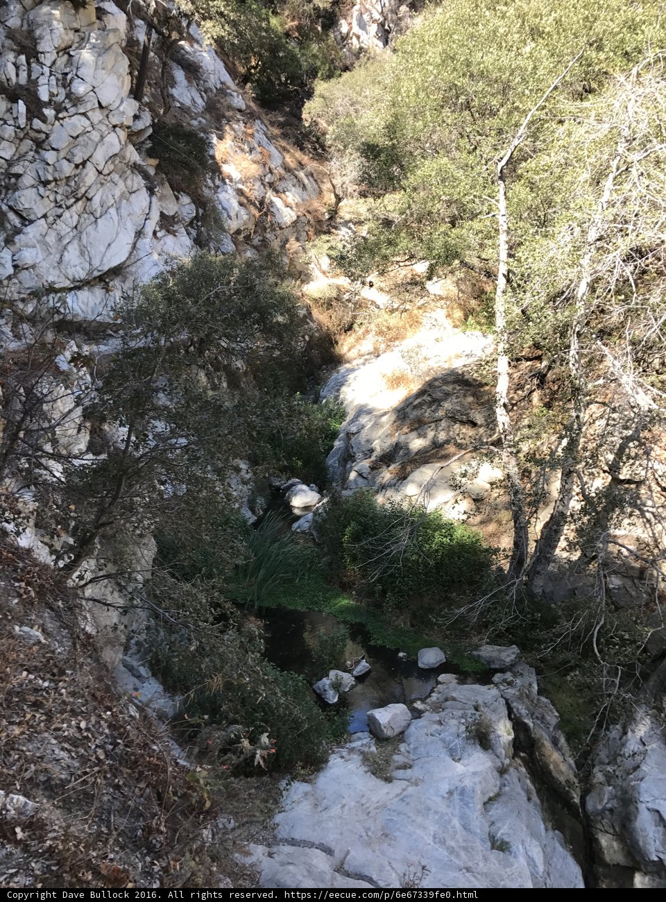 Rushing Stream in Rocky Canyon