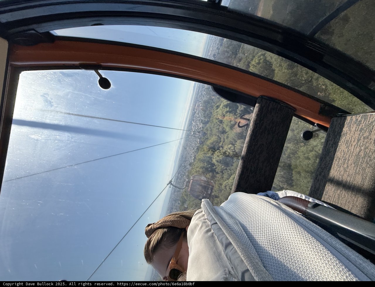 Skyward Adventure