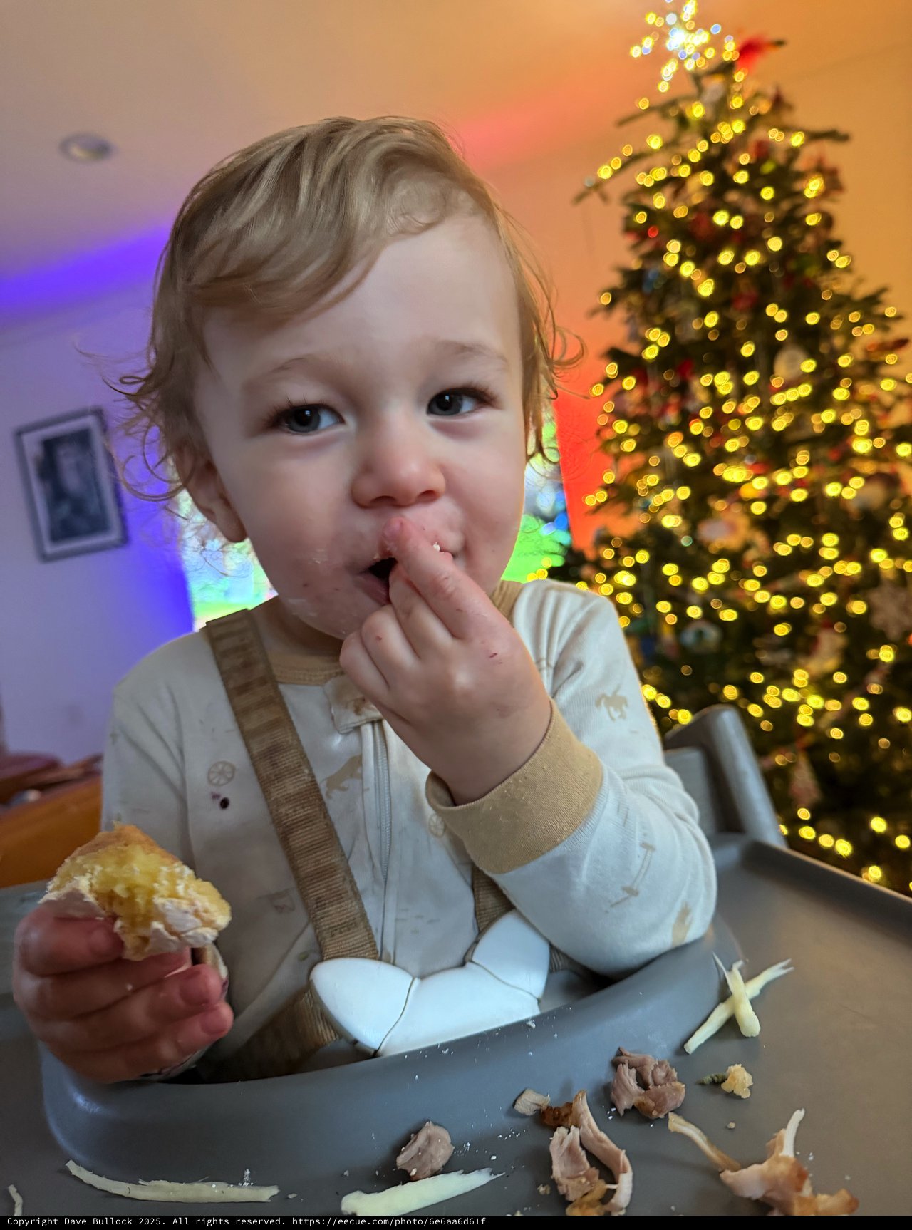 Toddler Enjoying Christmas Dinner at Festive Table