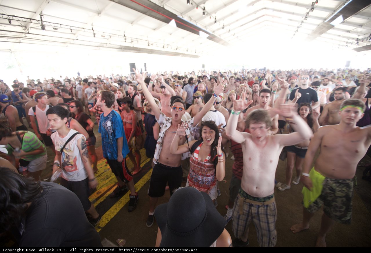 Hands Up in the Crowd