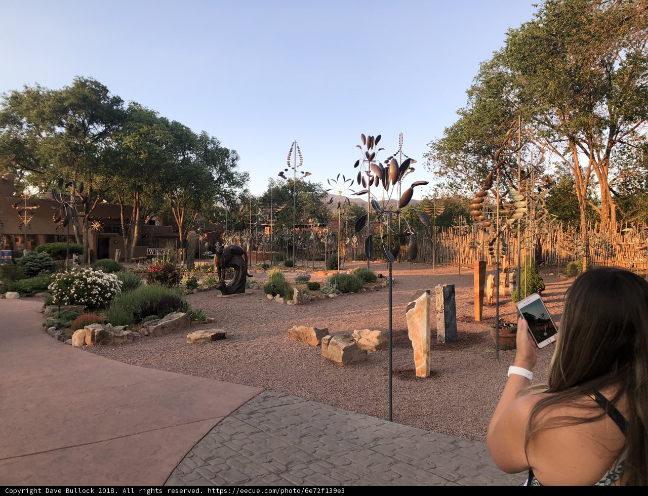 Capturing the Beauty of the Park