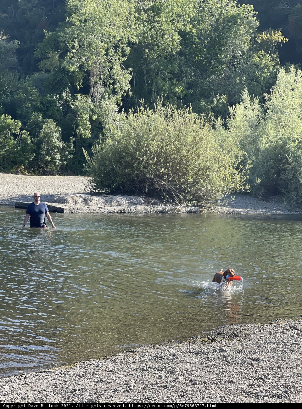 Father and Son's Kayaking Adventure at Monte Rio Beach