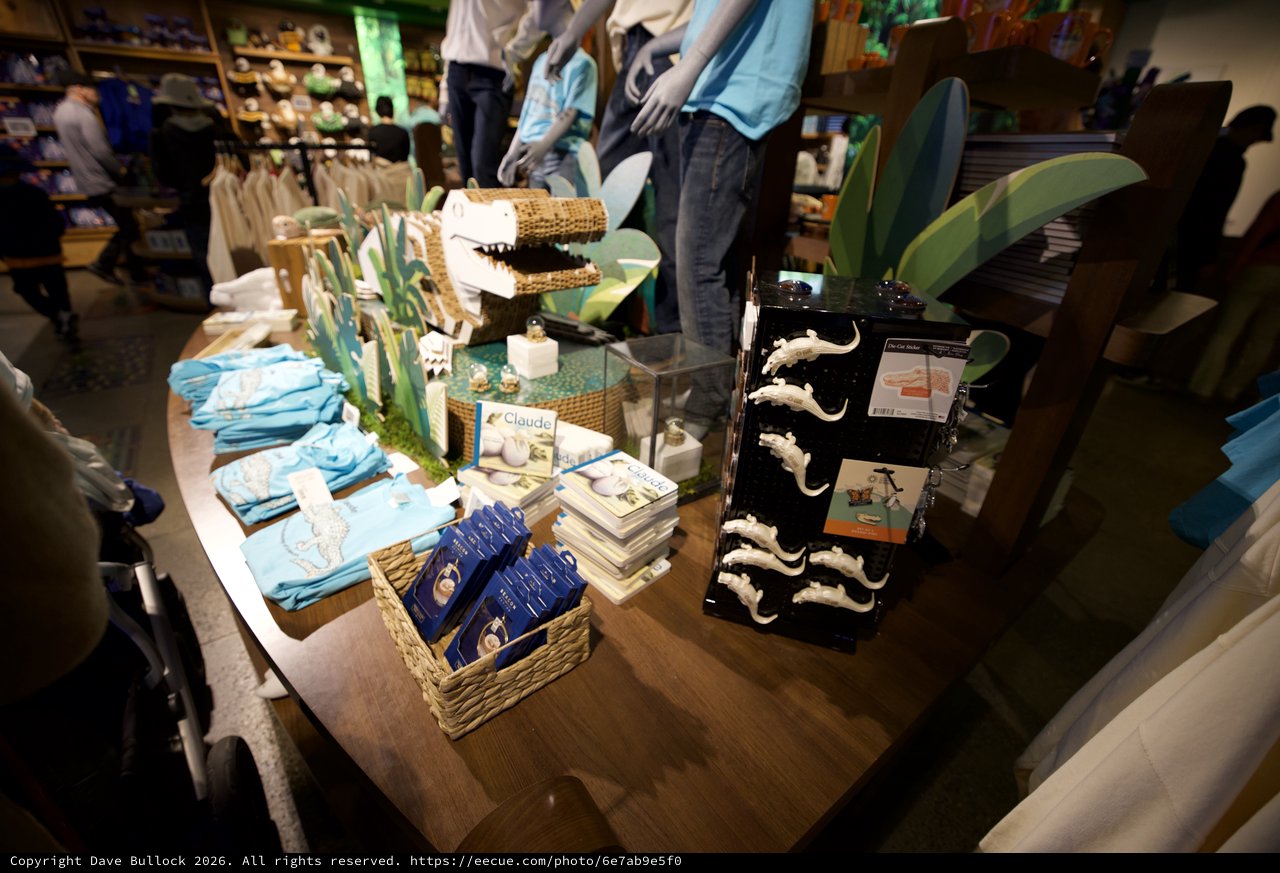 Claude the Alligator Memorial Display at Gift Shop