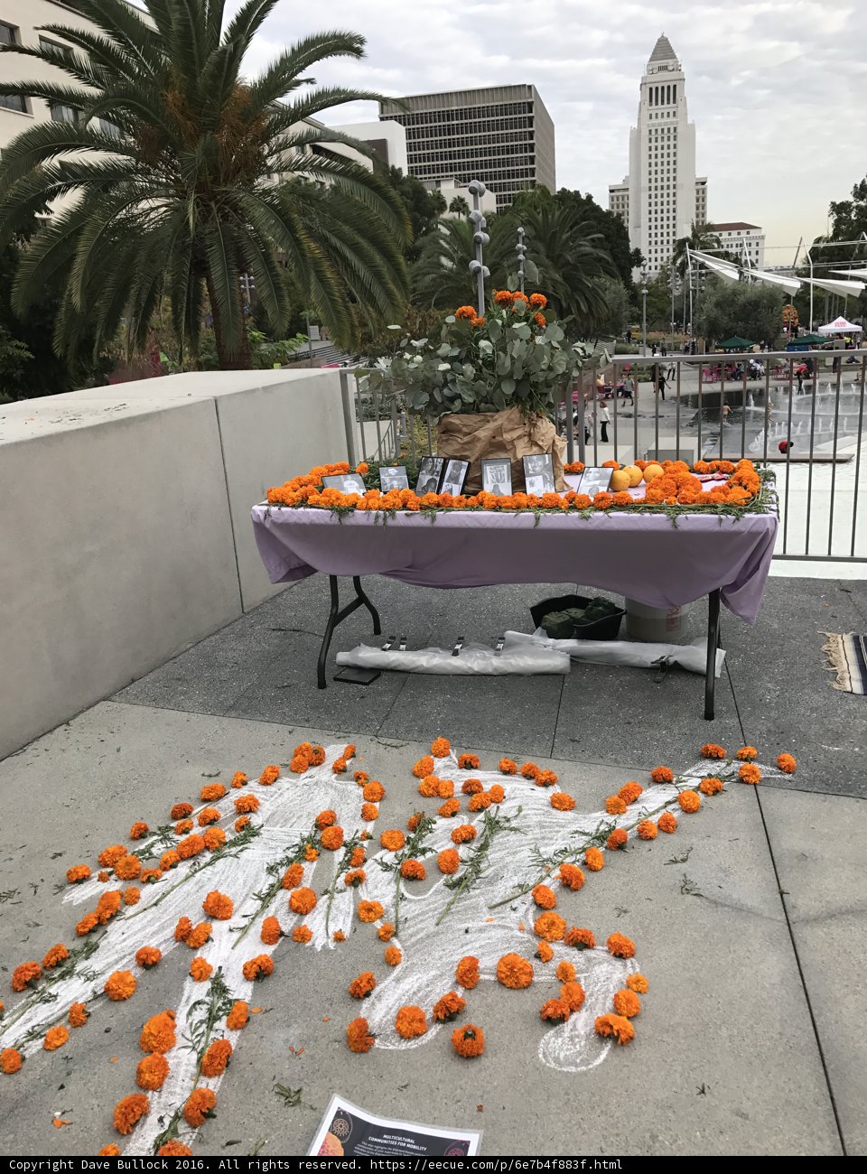 Pumpkins and Plants at Civic Center Mall
